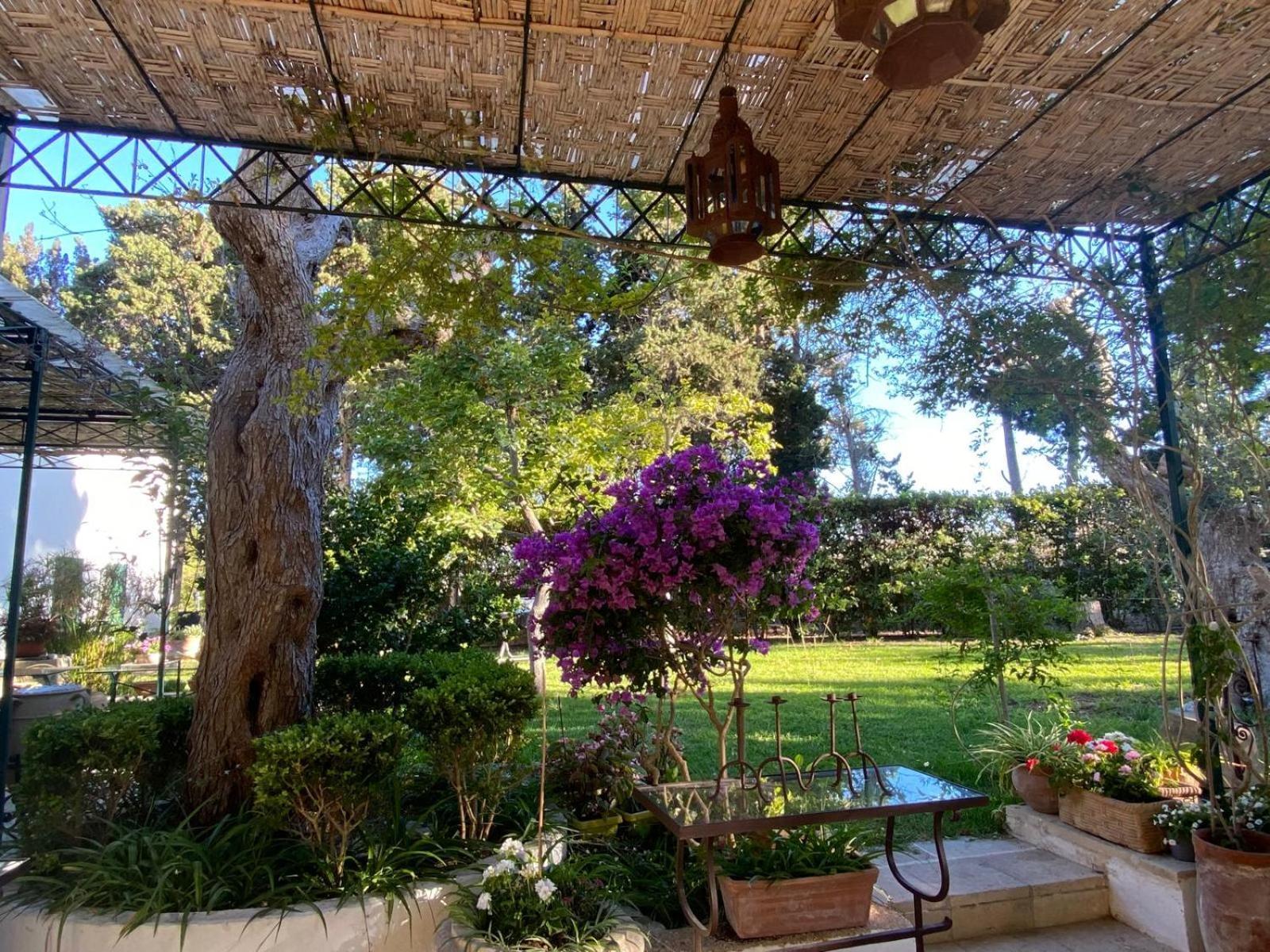 Tenuta Belvedere Отранто Екстериор снимка